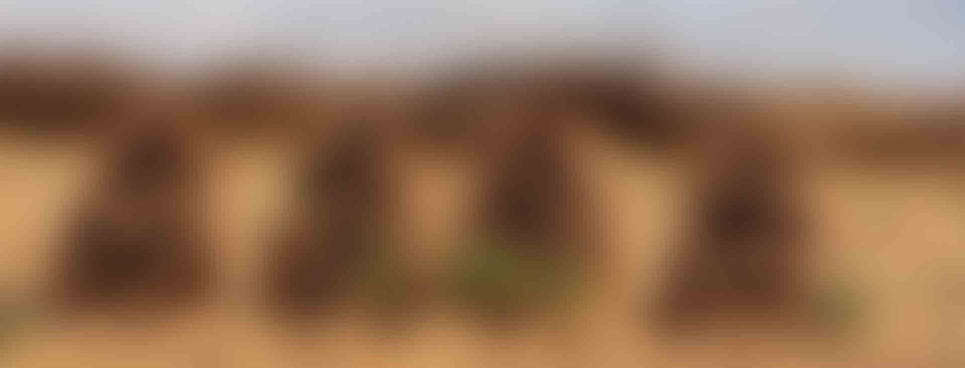 Image du carousel de Léonie DEVIS - Retrouve Ton Inst'Un N°1